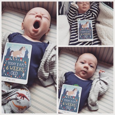 IMG_20170405_200227_031